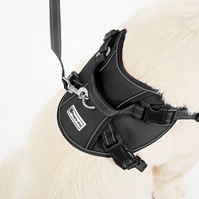 Smycz i szelki dla psa PJ-063 czarna XL, PuppyJoy